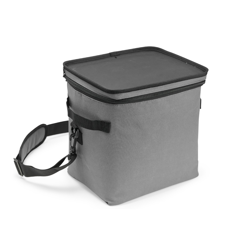 BOLSA TÉRMICA 20L SPX-08320-CIN NA COR CINZA